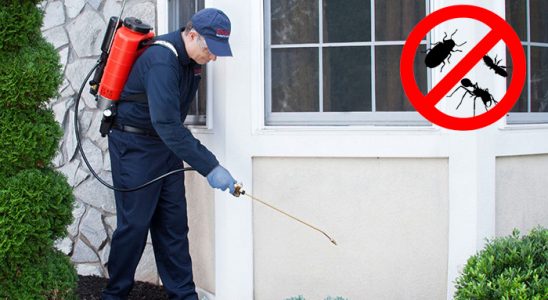 Yakutiye Dezenfeksiyon böcek ilaçlama ve haşere kontrolü — ilaclama-tr.com